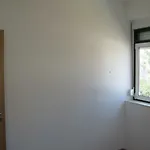 Belvedere Estrela Apartment