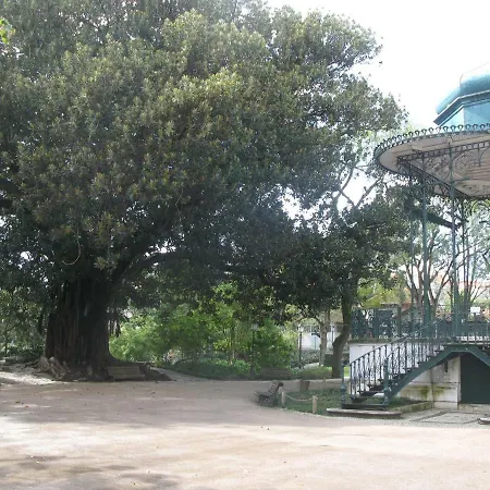 Belvédère Estrela Appartement *